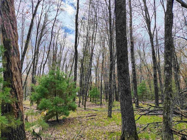 1120 Bighorn Drive, Arkdale, WI 54613