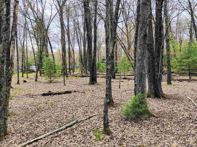 1120 Bighorn Drive, Arkdale, WI 54613