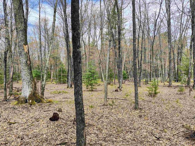 1120 Bighorn Drive, Arkdale, WI 54613