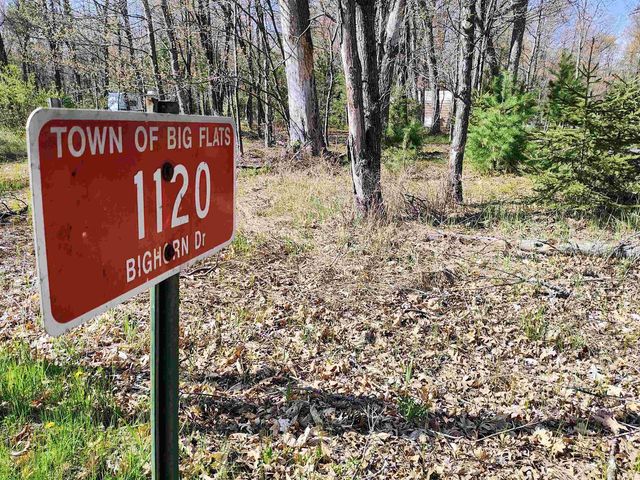 1120 Bighorn Drive, Arkdale, WI 54613