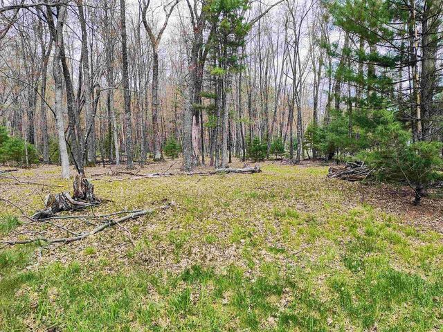 1120 Bighorn Drive, Arkdale, WI 54613