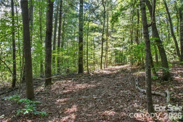 19 Laurel Loop Road, Fairview, NC 28730