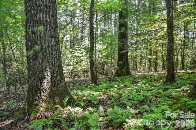 19 Laurel Loop Road, Fairview, NC 28730