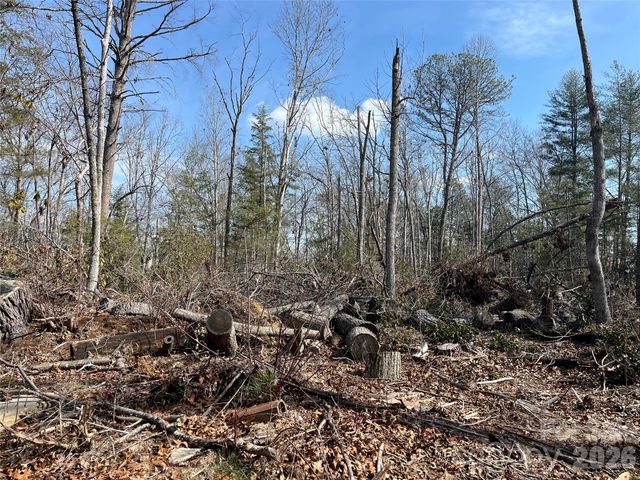 19 Laurel Loop Road, Fairview, NC 28730