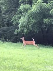 19 Laurel Loop Road, Fairview, NC 28730