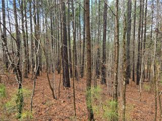 225 Cove Wood Drive, Denton, NC 27239