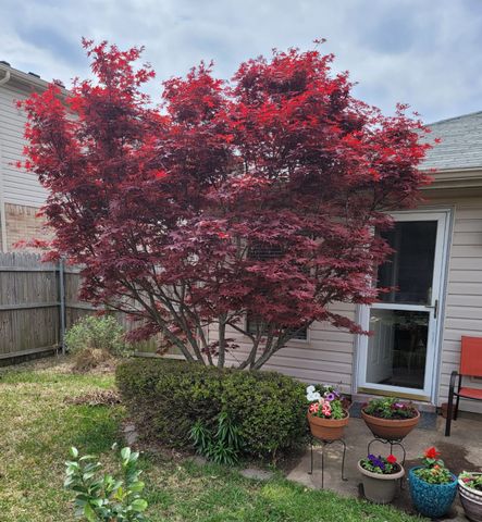 721 Bray Street, Cedar Hill, TX 75104