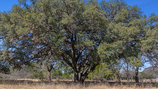 254 N. Fork Bonner Rd, Leakey, TX 78873