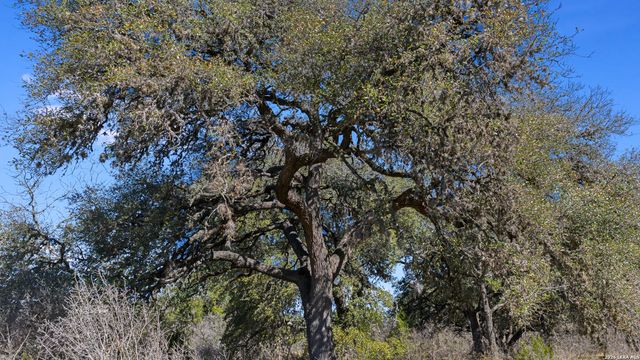 254 N. Fork Bonner Rd, Leakey, TX 78873