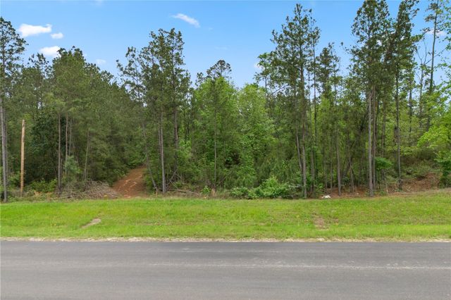 11800 Grand North Road, Willis, TX 77378