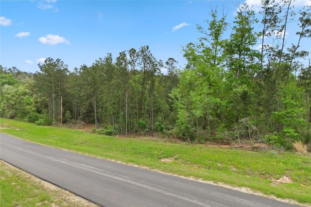 11800 Grand North Road, Willis, TX 77378