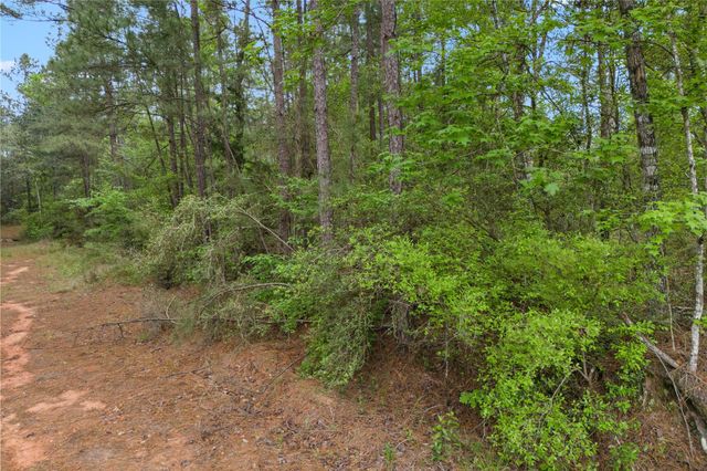 11800 Grand North Road, Willis, TX 77378