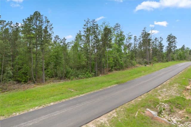 11800 Grand North Road, Willis, TX 77378