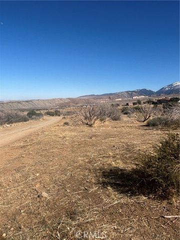 0 Honeybee Lane, Littlerock (also Little Rock), CA 93543