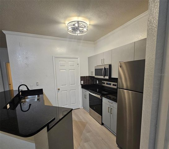 3621 CONROY ROAD 738, Orlando, FL 32839
