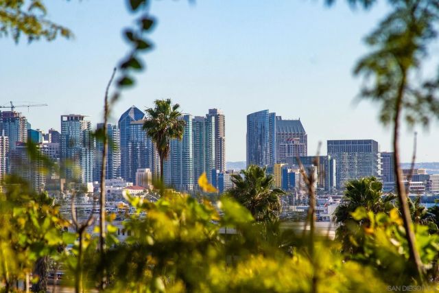 3911 California, San Diego, CA 92110