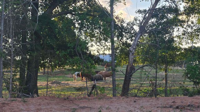 230 Artisan Drive, Lyman, SC 29365