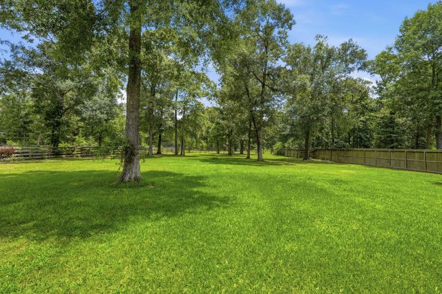 9217 Silver Back Trail, Conroe, TX 77303