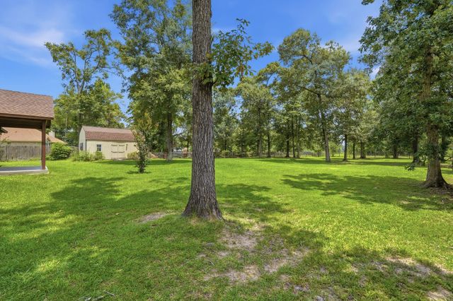 9217 Silver Back Trail, Conroe, TX 77303