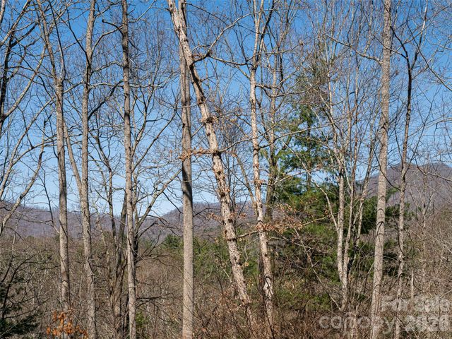 39 Oak Hollow Drive 23, Asheville, NC 28805