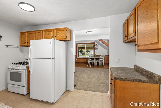 1007 N 4th Street, Greenville City, MI 48838