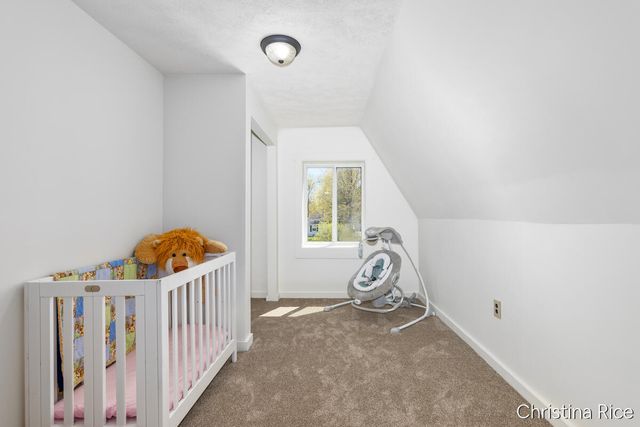 1007 N 4th Street, Greenville City, MI 48838