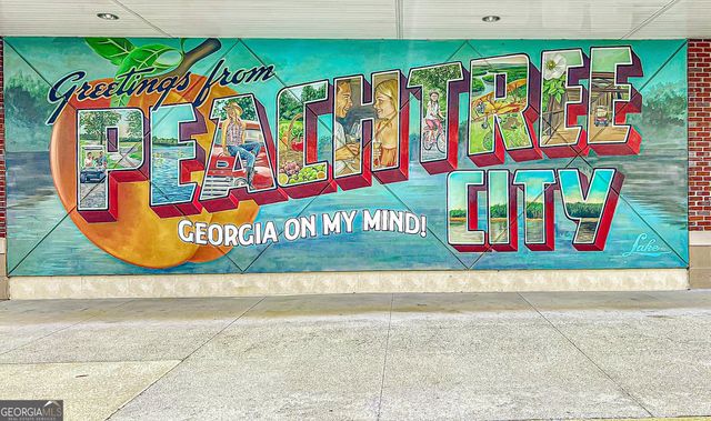 13 Perthshire Drive, Peachtree City, GA 30269