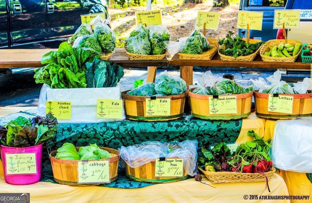 13 Perthshire Drive, Peachtree City, GA 30269