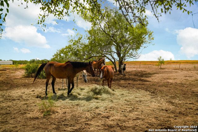 3481 State Highway 97 W, Floresville, TX 78114