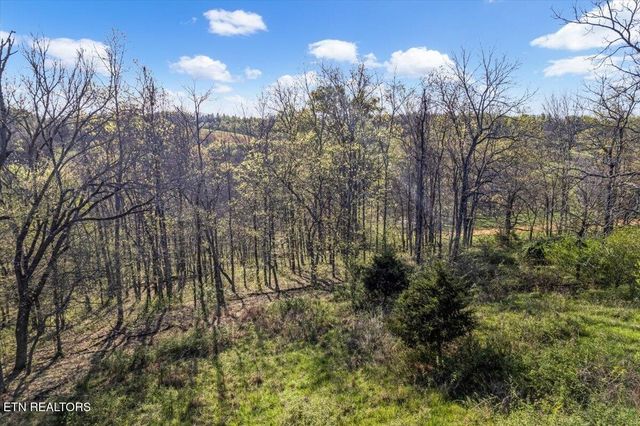 1624 Bartlett Hollow Rd, Petersburg, TN 37144