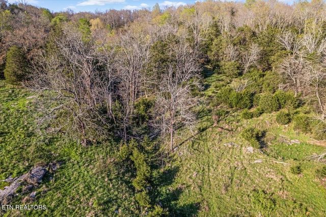 1624 Bartlett Hollow Rd, Petersburg, TN 37144