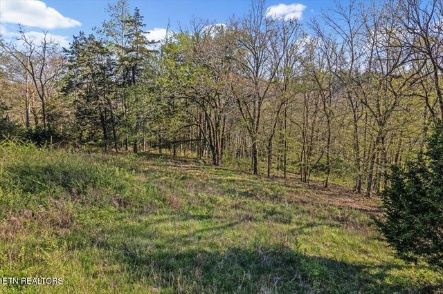 1624 Bartlett Hollow Rd, Petersburg, TN 37144