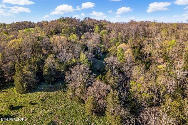1624 Bartlett Hollow Rd, Petersburg, TN 37144
