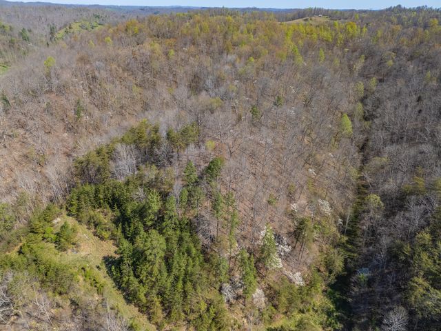 421 Stinson Branch Road, West Liberty, KY 41472