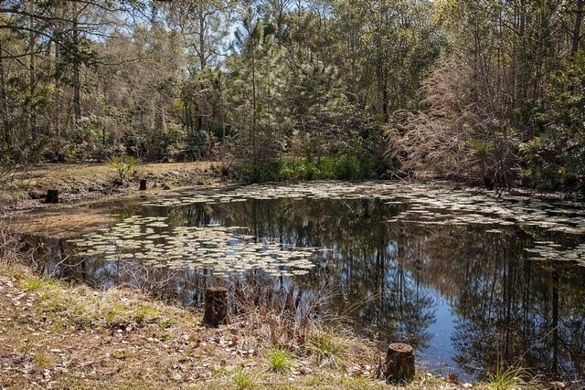 445 S STATE ROAD 415, Osteen, FL 32764