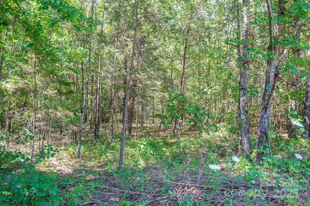 Lot # 15 Meadow Crossing Drive, Rutherfordton, NC 28139