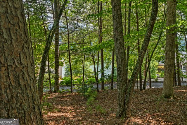 169 Windjammer SPUR, Hiawassee, GA 30546