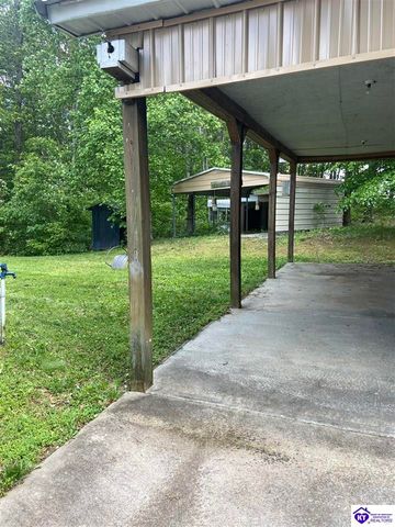 39 Pickerell Road, Buffalo, KY 42716