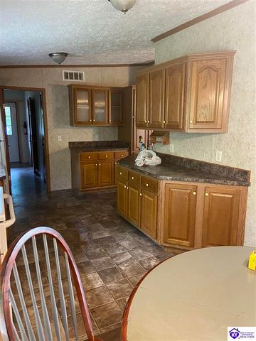39 Pickerell Road, Buffalo, KY 42716