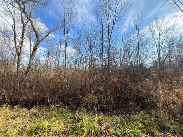 10765 Bell Road, Newbury, OH 44065