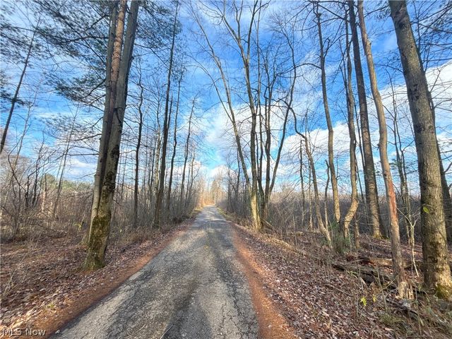 10765 Bell Road, Newbury, OH 44065