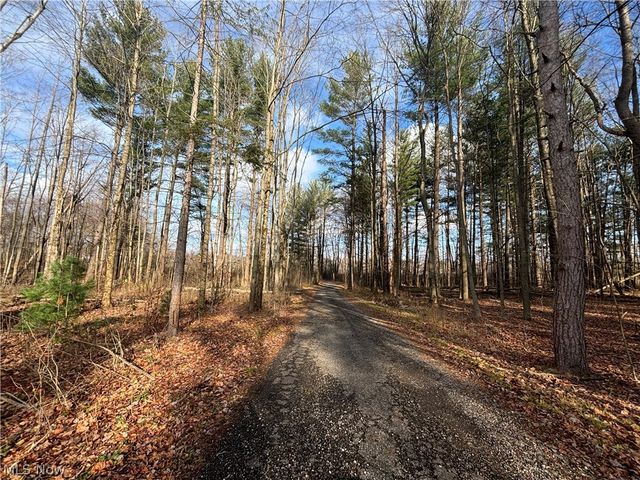 10765 Bell Road, Newbury, OH 44065