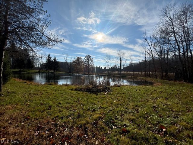 10765 Bell Road, Newbury, OH 44065