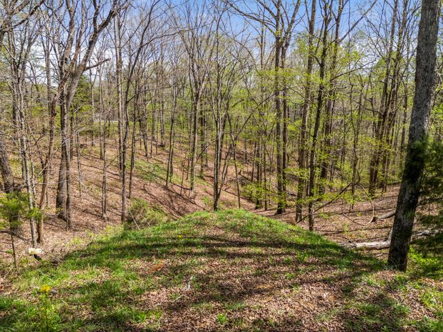 2210 Garners Creek Rd, Dickson, TN 37055