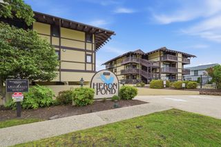 6813 Porcher Dr Apt 13, Myrtle Beach, SC 29572