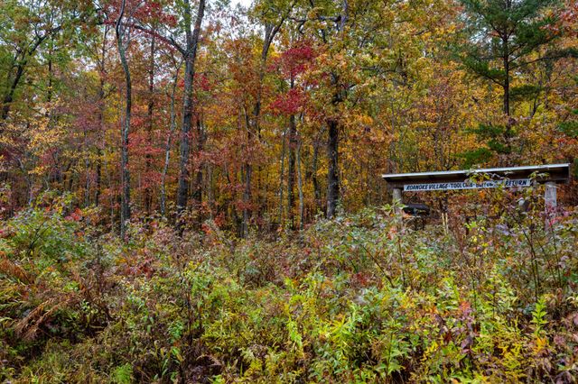 0 Roanoke Rd, Jamestown, TN 38556