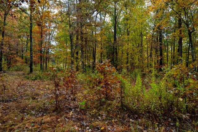 0 Roanoke Rd, Jamestown, TN 38556