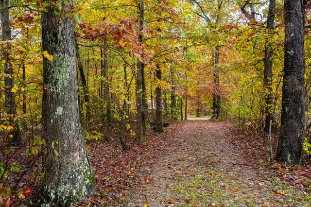 0 Roanoke Rd, Jamestown, TN 38556