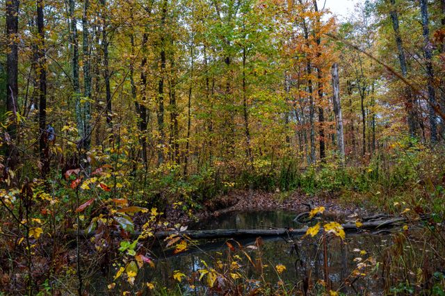 0 Roanoke Rd, Jamestown, TN 38556