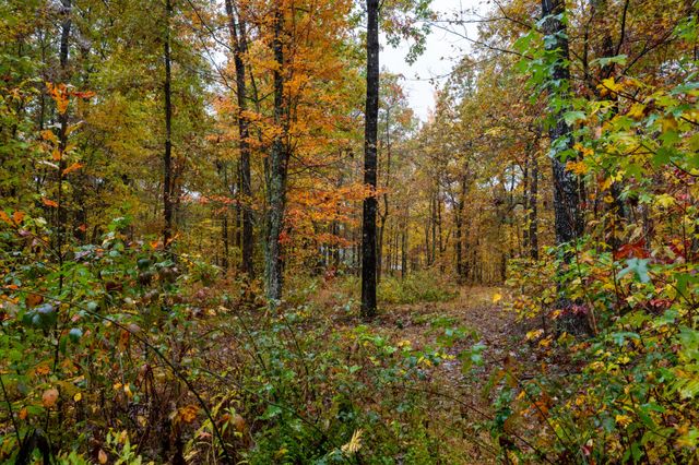 0 Roanoke Rd, Jamestown, TN 38556